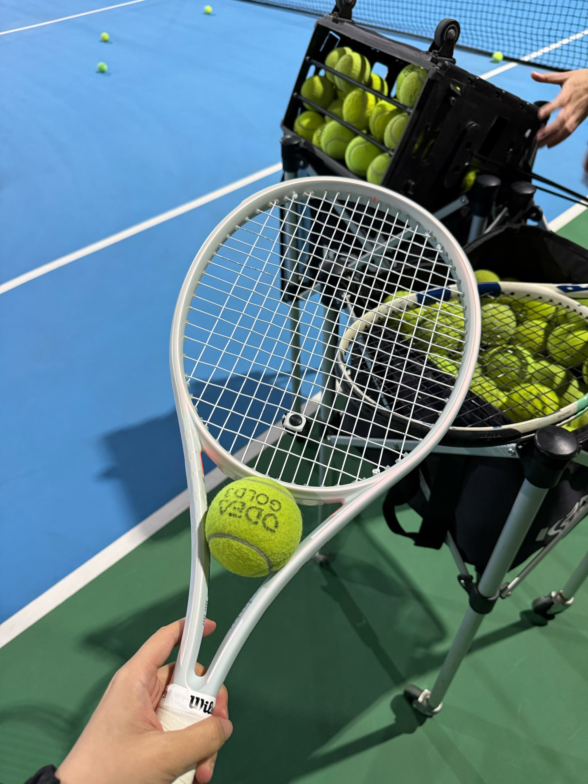 粉丝心智与 粉丝心智与